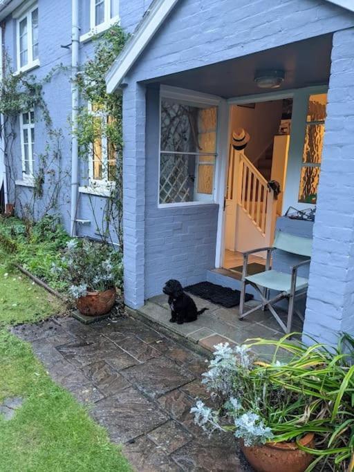 Cliffside Apartment Cowes  Bagian luar foto